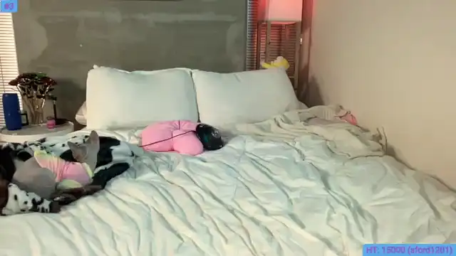 Snowkitty – [Myfreecams] Porn Web Chat Young Slut Oral – 2025-11-13 00:22:09