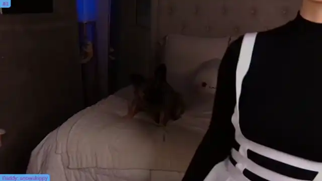 Snowkitty – [Myfreecams] Erotic Webcamsex Loves To Masturbated – 2025-10-16 01:50:43