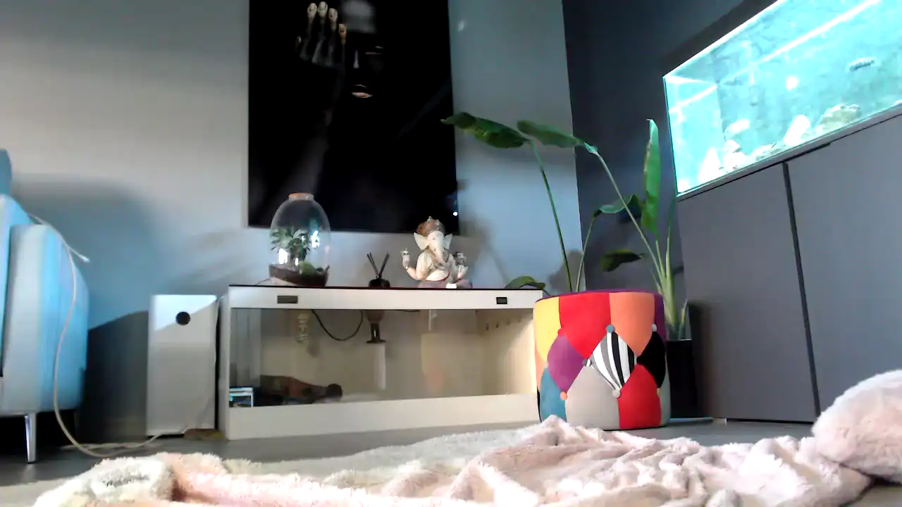 Msakira – [Amateur.tv] Ass Sexual Addiction Striptease – 2026-07-08 02:02:28