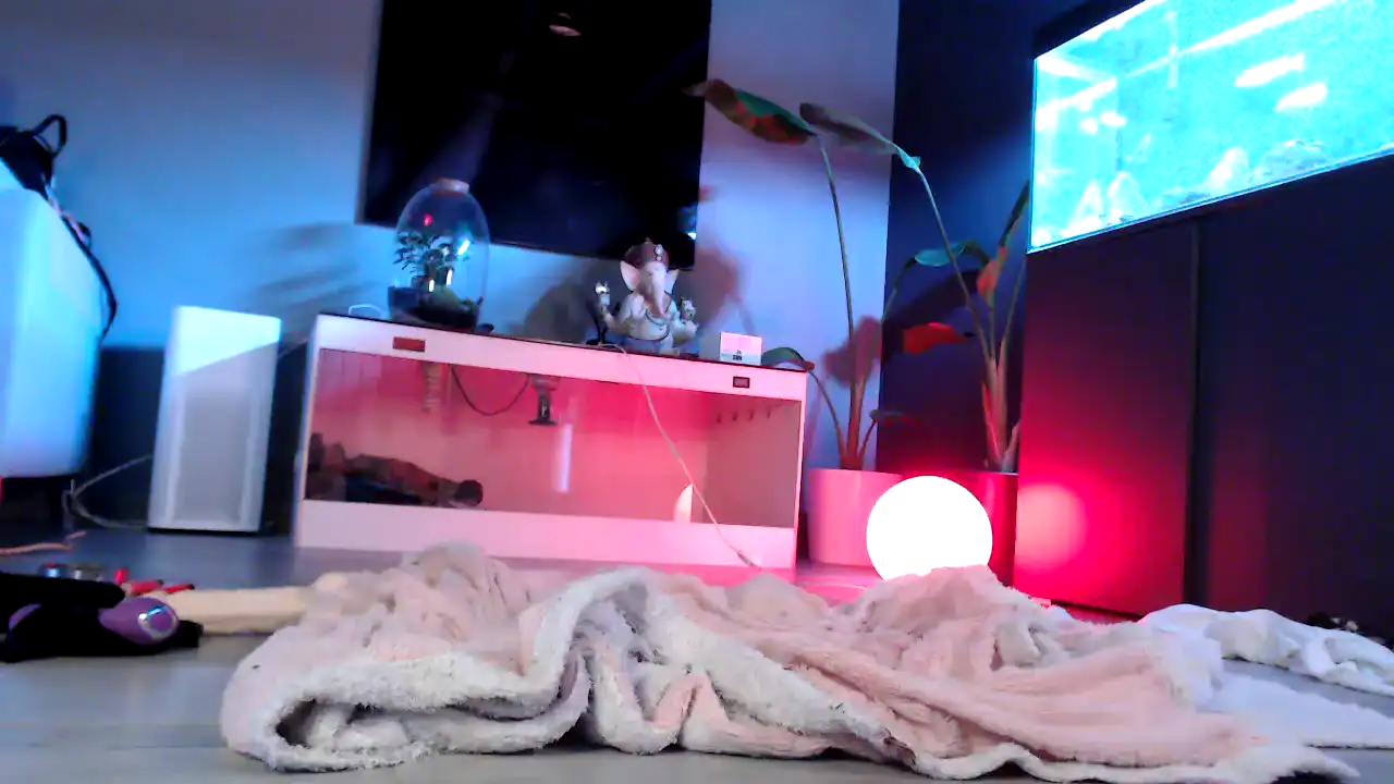 Msakira – [Amateur.tv] Horny Pretty Face Naughty – 2025-05-31 17:18:15